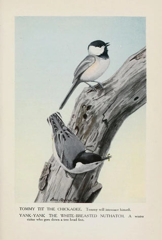 Louis Agassiz Fuertes - Tommy Tit the Chickadee YankYank the WhiteBreasted Nuthatch.webp