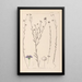 Herbier de la flore française Pl0019 - Louis Antoine Cusin — cuadro enmarcado en la pared