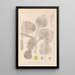 Herbier de la flore française Pl0025 - Louis Antoine Cusin — cuadro enmarcado en la pared