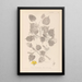 Herbier de la flore française Pl0026 - Louis Antoine Cusin — cuadro enmarcado en la pared
