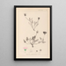 Herbier de la flore française Pl0031 - Louis Antoine Cusin — framed artwork on a wall