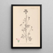 Herbier de la flore française Pl0033 - Louis Antoine Cusin — cuadro enmarcado en la pared