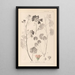 Herbier de la flore française Pl0035 - Louis Antoine Cusin — cuadro enmarcado en la pared
