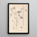 Herbier de la flore française Pl0044 - Louis Antoine Cusin — cuadro enmarcado en la pared