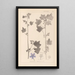 Herbier de la flore française Pl0046 - Louis Antoine Cusin — cuadro enmarcado en la pared