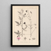 Herbier de la flore française Pl0052 - Louis Antoine Cusin — framed artwork on a wall