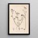 Herbier de la flore française Pl0054 - Louis Antoine Cusin — framed artwork on a wall