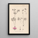 Herbier de la flore française Pl0057 - Louis Antoine Cusin — cuadro enmarcado en la pared