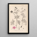 Herbier de la flore française Pl0058 - Louis Antoine Cusin — framed artwork on a wall