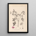Herbier de la flore française Pl0061 - Louis Antoine Cusin — cuadro enmarcado en la pared