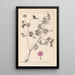 Herbier de la flore française Pl0068 - Louis Antoine Cusin — cuadro enmarcado en la pared