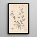 Herbier de la flore française Pl0083 - Louis Antoine Cusin — cuadro enmarcado en la pared