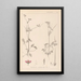 Herbier de la flore française Pl0086 - Louis Antoine Cusin — cuadro enmarcado en la pared