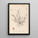 Herbier de la flore française Pl0091 - Louis Antoine Cusin — cuadro enmarcado en la pared