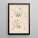 Herbier de la flore française Pl0097 - Louis Antoine Cusin — cuadro enmarcado en la pared