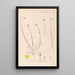 Herbier de la flore française Pl0105 - Louis Antoine Cusin — framed artwork on a wall