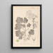 Herbier de la flore française Pl0120 - Louis Antoine Cusin — cuadro enmarcado en la pared