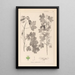 Herbier de la flore française Pl0122 - Louis Antoine Cusin — cuadro enmarcado en la pared