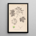 Herbier de la flore française Pl0123 - Louis Antoine Cusin — cuadro enmarcado en la pared