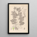 Herbier de la flore française Pl0124 - Louis Antoine Cusin — cuadro enmarcado en la pared