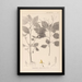 Herbier de la flore française Pl0128 - Louis Antoine Cusin — cuadro enmarcado en la pared