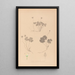 Herbier de la flore française Pl0129 - Louis Antoine Cusin — framed artwork on a wall