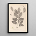 Herbier de la flore française Pl0142 - Louis Antoine Cusin — cuadro enmarcado en la pared