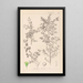 Herbier de la flore française Pl0149 - Louis Antoine Cusin — cuadro enmarcado en la pared