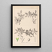 Herbier de la flore française Pl0152 - Louis Antoine Cusin — framed artwork on a wall