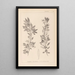 Herbier de la flore française Pl0155 - Louis Antoine Cusin — framed artwork on a wall