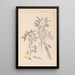 Herbier de la flore française Pl0163 - Louis Antoine Cusin — cuadro enmarcado en la pared