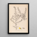 Herbier de la flore française Pl0164 - Louis Antoine Cusin — framed artwork on a wall