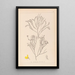 Herbier de la flore française Pl0173 - Louis Antoine Cusin — cuadro enmarcado en la pared