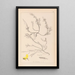 Herbier de la flore française Pl0176 - Louis Antoine Cusin — framed artwork on a wall
