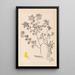 Herbier de la flore française Pl0200 - Louis Antoine Cusin — framed artwork on a wall