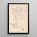 Herbier de la flore française Pl0201 - Louis Antoine Cusin — framed artwork on a wall