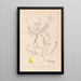 Herbier de la flore française Pl0202 - Louis Antoine Cusin — framed artwork on a wall
