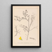 Herbier de la flore française Pl0203 - Louis Antoine Cusin — framed artwork on a wall