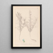 Herbier de la flore française Pl0208 - Louis Antoine Cusin — cuadro enmarcado en la pared