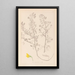 Herbier de la flore française Pl0213 - Louis Antoine Cusin — framed artwork on a wall