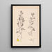 Herbier de la flore française Pl0217 - Louis Antoine Cusin — cuadro enmarcado en la pared