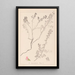 Herbier de la flore française Pl0225 - Louis Antoine Cusin — cuadro enmarcado en la pared