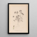 Herbier de la flore française Pl0240 - Louis Antoine Cusin — cuadro enmarcado en la pared