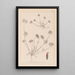 Herbier de la flore française Pl0241 - Louis Antoine Cusin — cuadro enmarcado en la pared