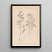 French flora herbarium painting Pl0245 - Louis Antoine Cusin — framed artwork on a wall
