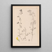 Herbier de la flore française Pl0266 - Louis Antoine Cusin — framed artwork on a wall