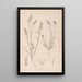 Herbier de la flore française Pl0315 - Louis Antoine Cusin — framed artwork on a wall