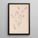 Herbier de la flore française Pl0317 - Louis Antoine Cusin — framed artwork on a wall