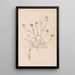Herbier de la flore française Pl0327 - Louis Antoine Cusin — cuadro enmarcado en la pared