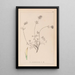 Herbier de la flore française Pl0328 - Louis Antoine Cusin — cuadro enmarcado en la pared